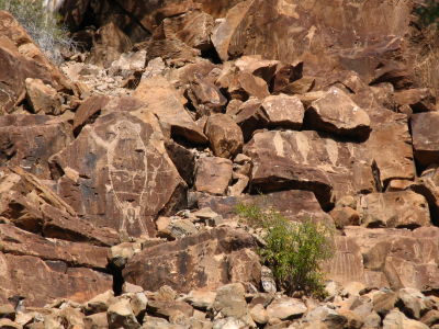 Baja Sur - Piedra Pinta