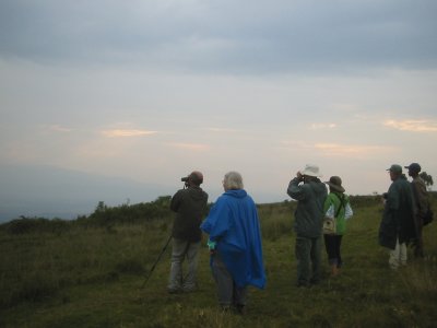 Birding on the edge