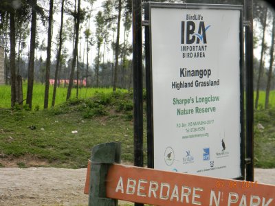 Kinangop Grassland