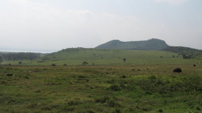 Lake Nakuru NP