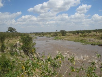 Maasai Mara NR