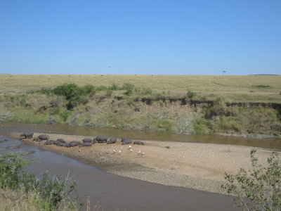 Maasai Mara NR