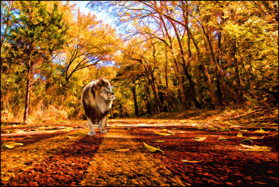 Fall Lion