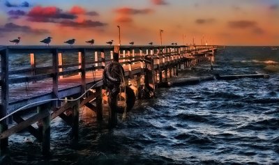 Gull Pier