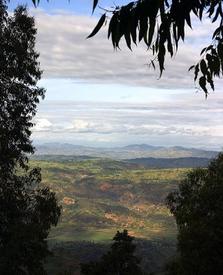 Looking into the DR Congo.
