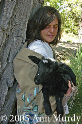 Amata