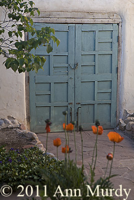 Doorway with poppies