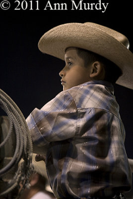 Little boy watching Rodeo