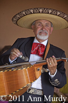 Mariachi Musician