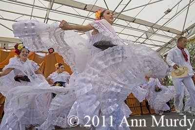 Dance from Veracruz, Mexico