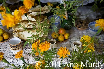 Marigolds and food