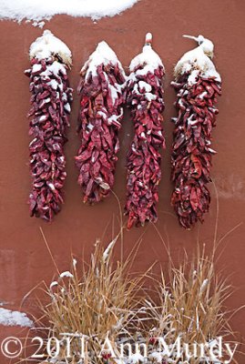 Ristras in snow