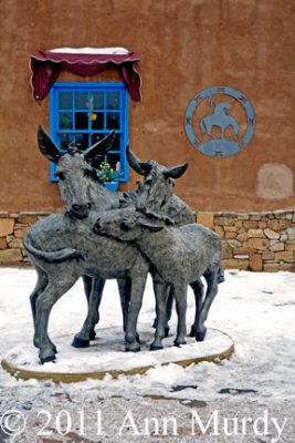 Burros in the Snow