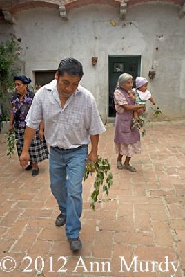 Tito dancing the jarabe, Section 2