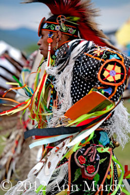Movement of fancy dancer