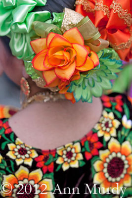 Detail of Hair Decorations