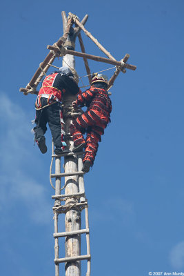 Atop Palo Volador