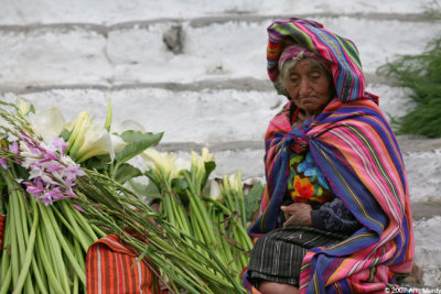 Flower Vendor