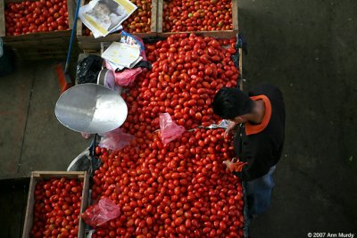Tomato vendor
