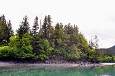 DSC_0360a.jpg