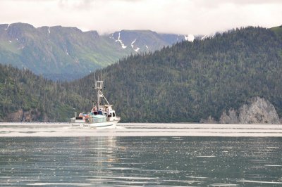 DSC_0371.JPG