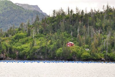 DSC_0372.JPG