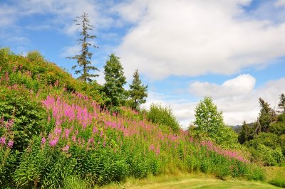 DSC_0426.JPG