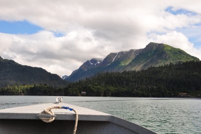 DSC_0464.JPG