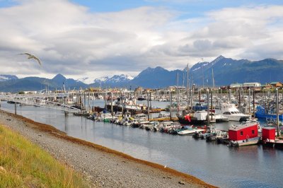 Homer Marina