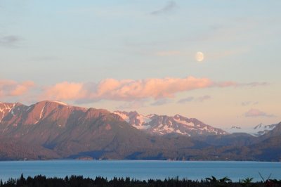 DSC_0702.JPG