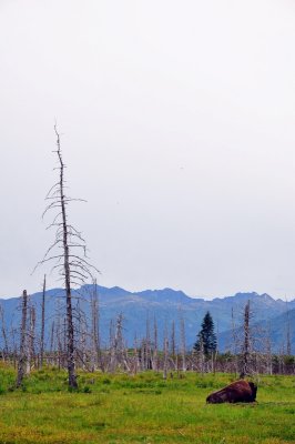 DSC_0885.jpg