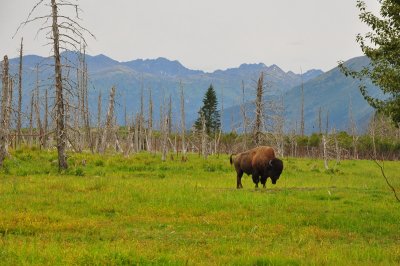 DSC_0893.JPG