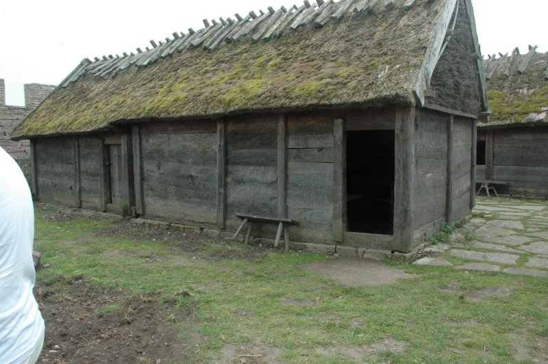 massivt trhus