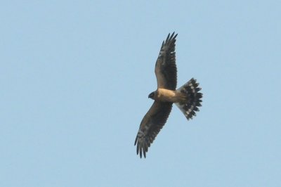 g4/86/769986/3/138321246.duF5FxR0.jpg