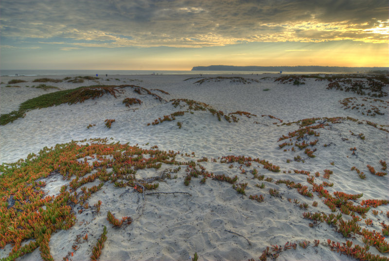 Coronado Beach