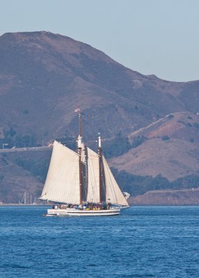 Sails at San Fran. 