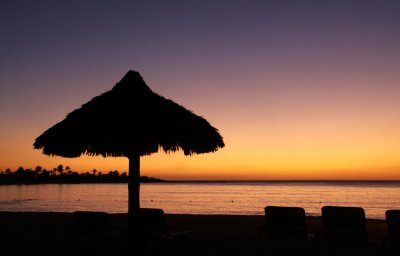 IMG_2887.JPG