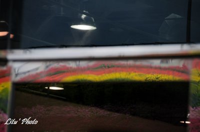 DSC_4909.jpg