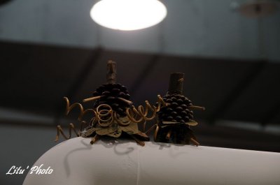 DSC_4946.jpg