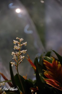 DSC_5070.jpg