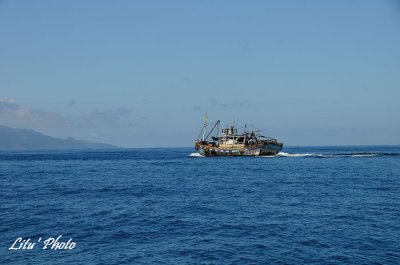 DSC_7693.jpg