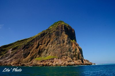 DSC_7772.jpg