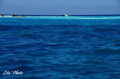 DSC_7781.jpg