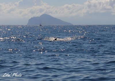 DSC_7849.jpg