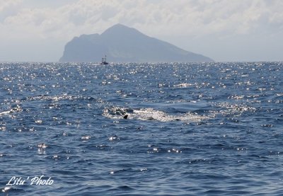 DSC_7850.jpg