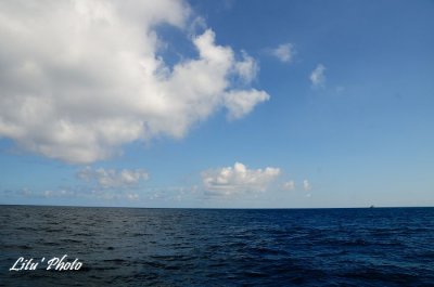 DSC_7855.jpg