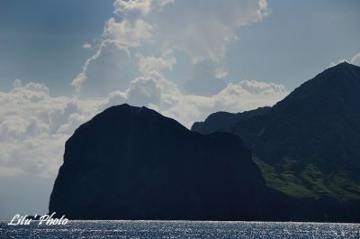 DSC_7884.jpg