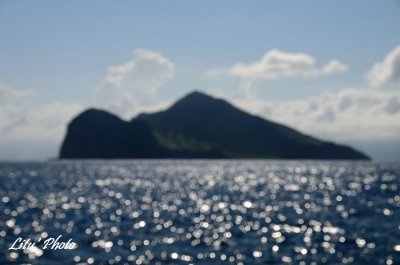 DSC_7887.jpg