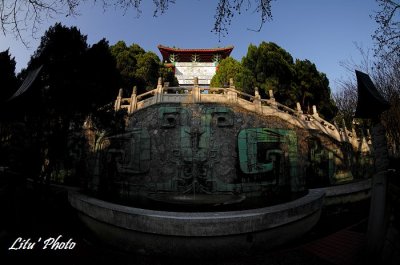 DSC_4078.jpg