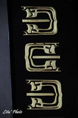 DSC_3553.jpg